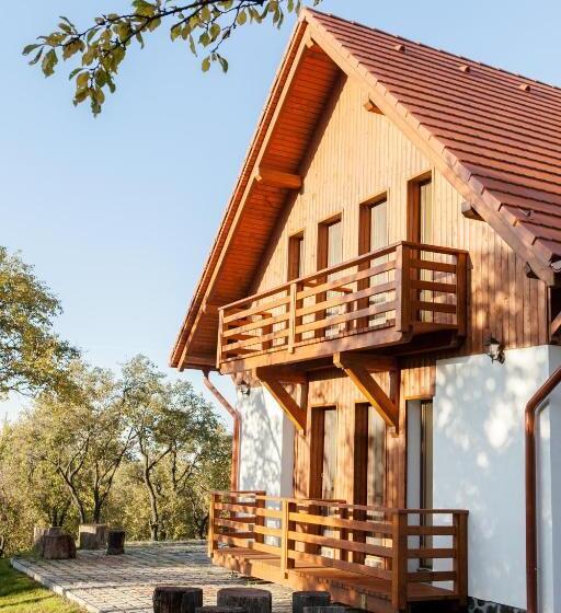 Pensiunea Szilas Panzió