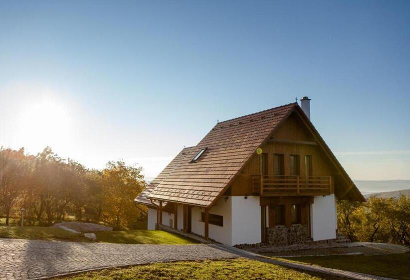 Pensiunea Szilas Panzió