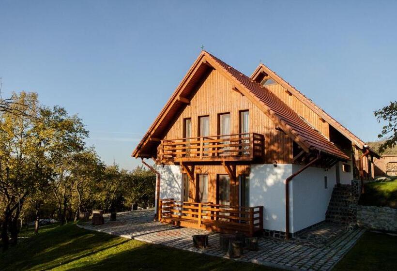 Pensiunea Szilas Panzió