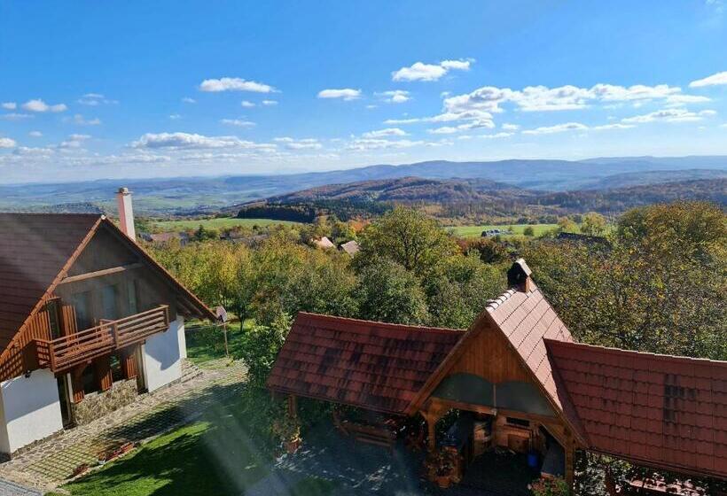 Pensiunea Szilas Panzió