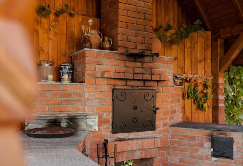 Pensiunea Szilas Panzió