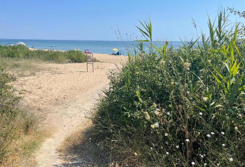 منتجع Complex Terazini