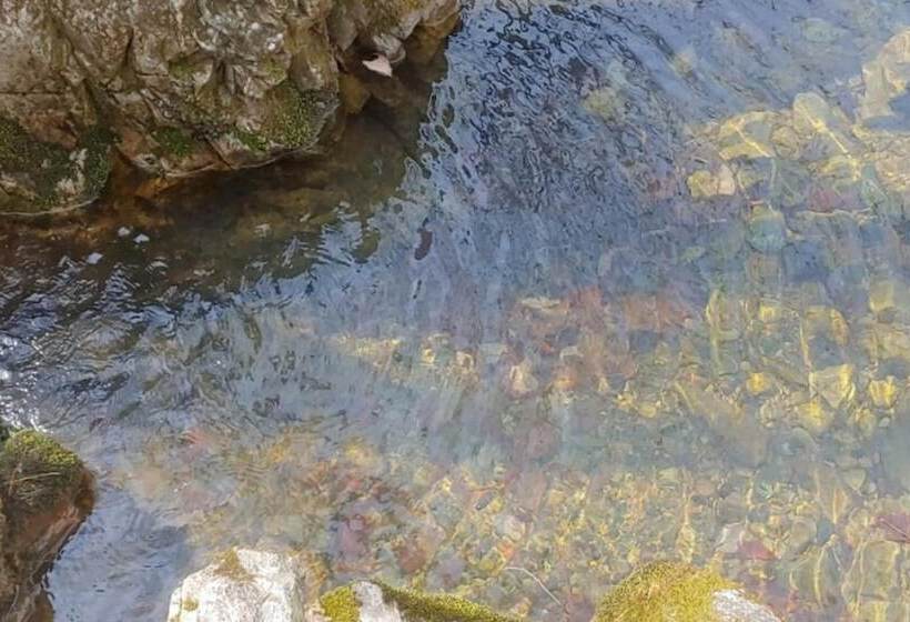 فندق Andong Sunrise Glamping