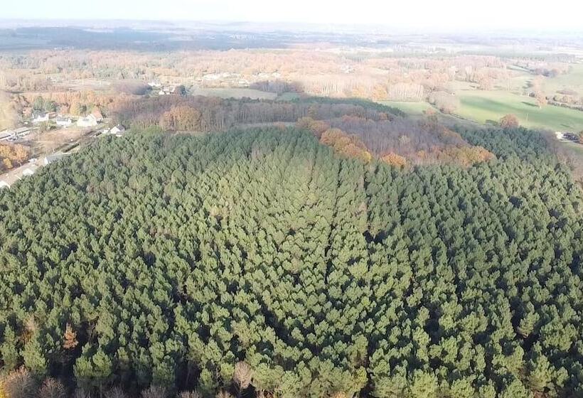 酒店 24h Le Mans Château De Lauresse Chambres D Hôtes Luxe
