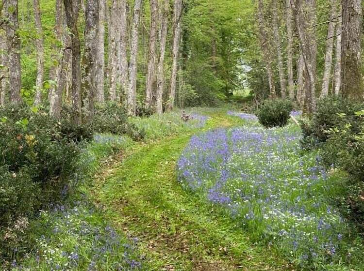 酒店 24h Le Mans Château De Lauresse Chambres D Hôtes Luxe