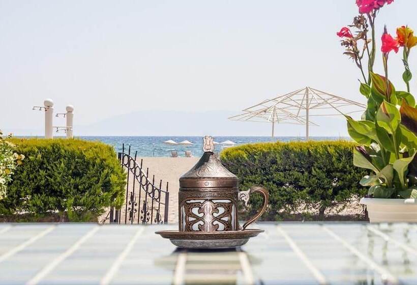 Отель Colophon Beach