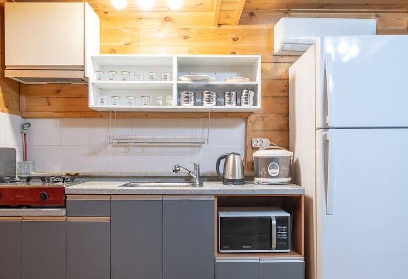 Hotel Gapyeong Tori Spa Pension