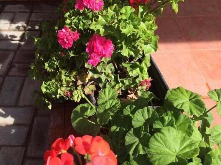 فندق Las Hortensia S Casa De Huespedes