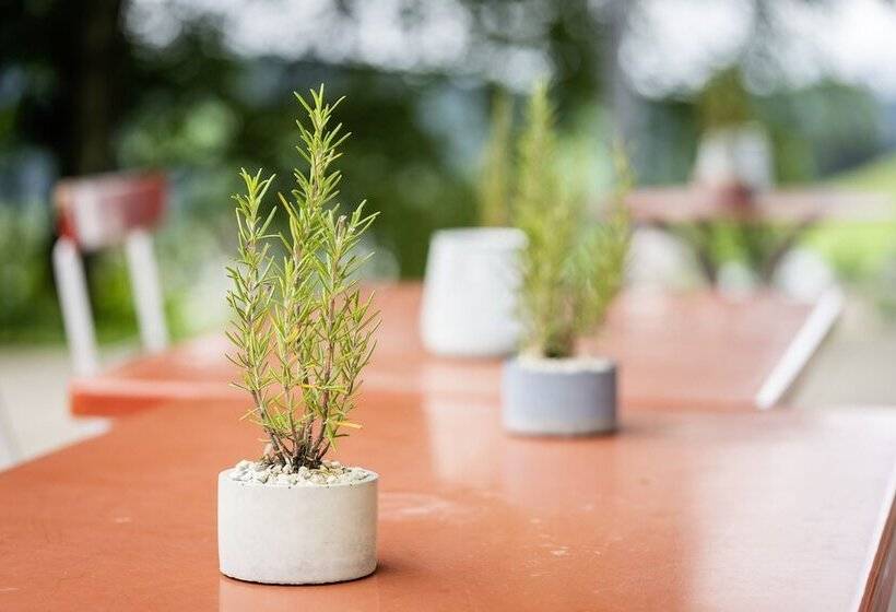 Vegan Health Hotel Sonnenberg