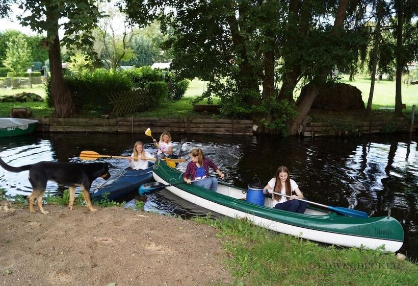 Отель Hippo Arabico