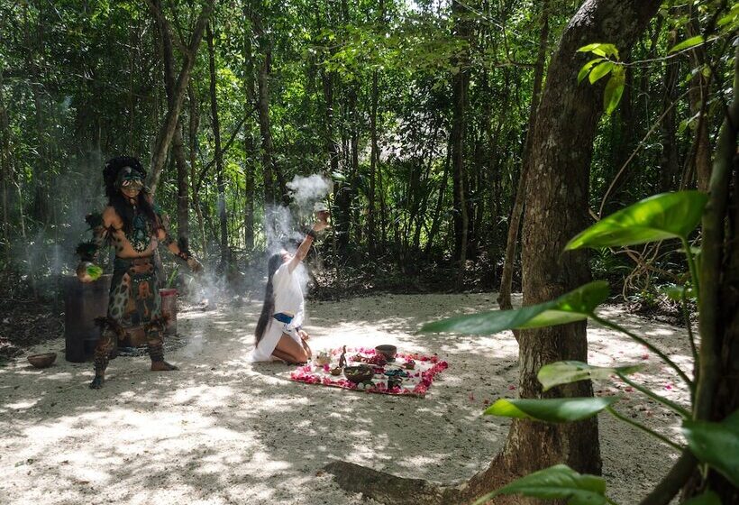 בית מלון כפרי Mama Loo.mm