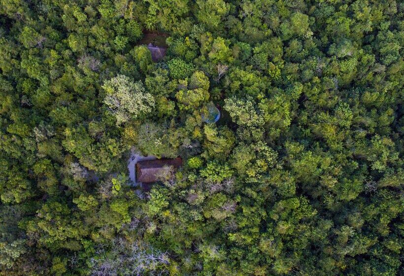 בית מלון כפרי Mama Loo.mm