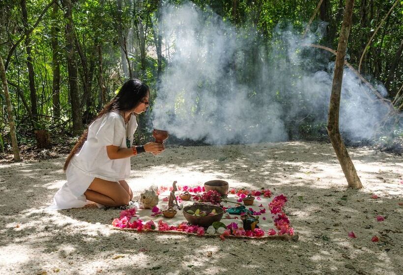 בית מלון כפרי Mama Loo.mm