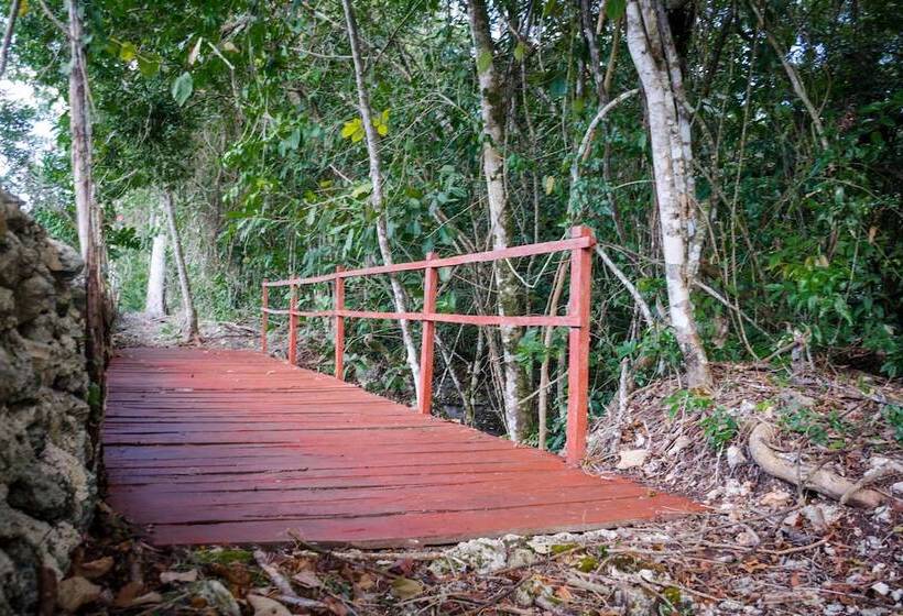 בית מלון כפרי Mama Loo.mm