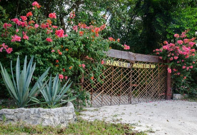בית מלון כפרי Mama Loo.mm