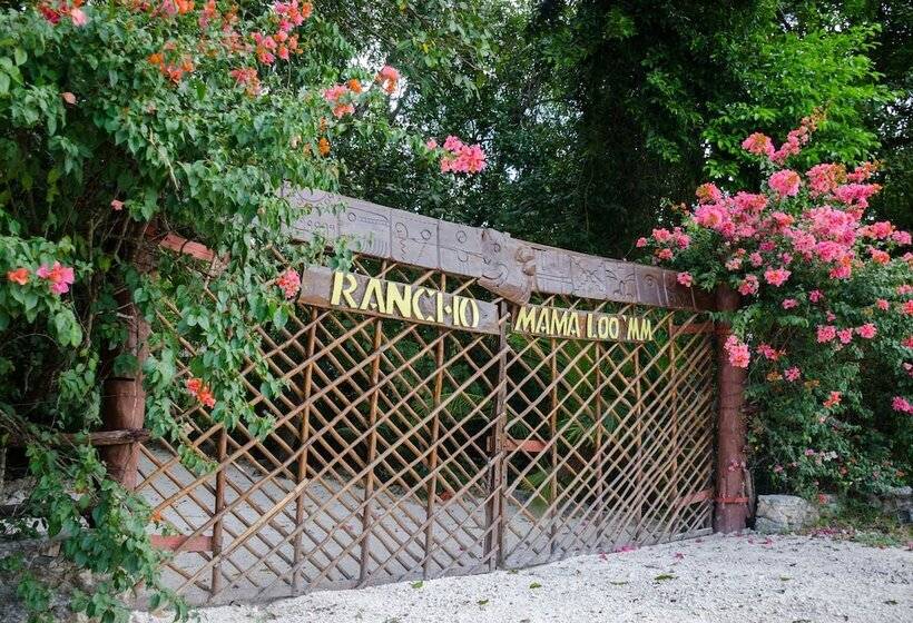 בית מלון כפרי Mama Loo.mm