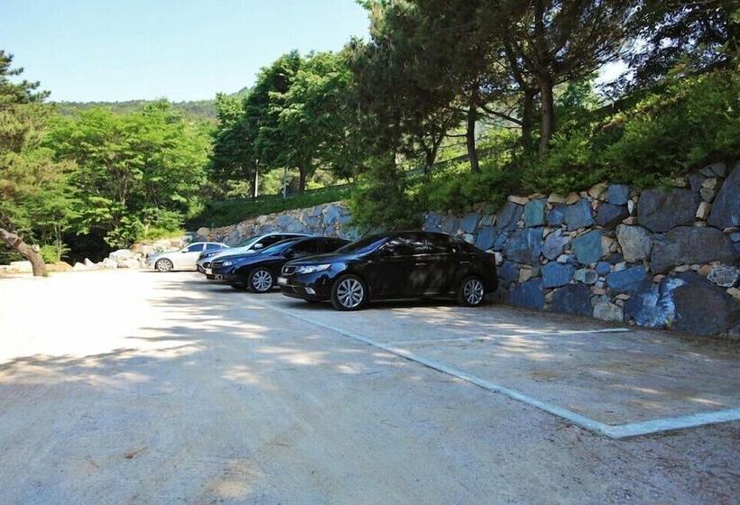 Hotel Palsecjo Pension