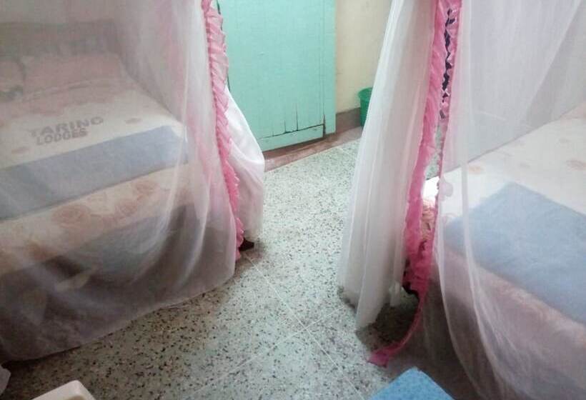 فندق Tarino Bar And Lodging