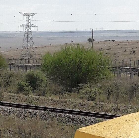 酒店 Bethel Homestay