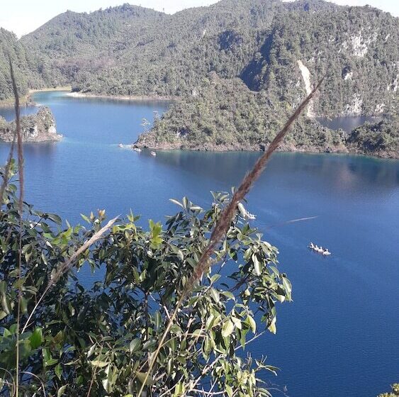 ホテル Cabanas Islas De Tziscao