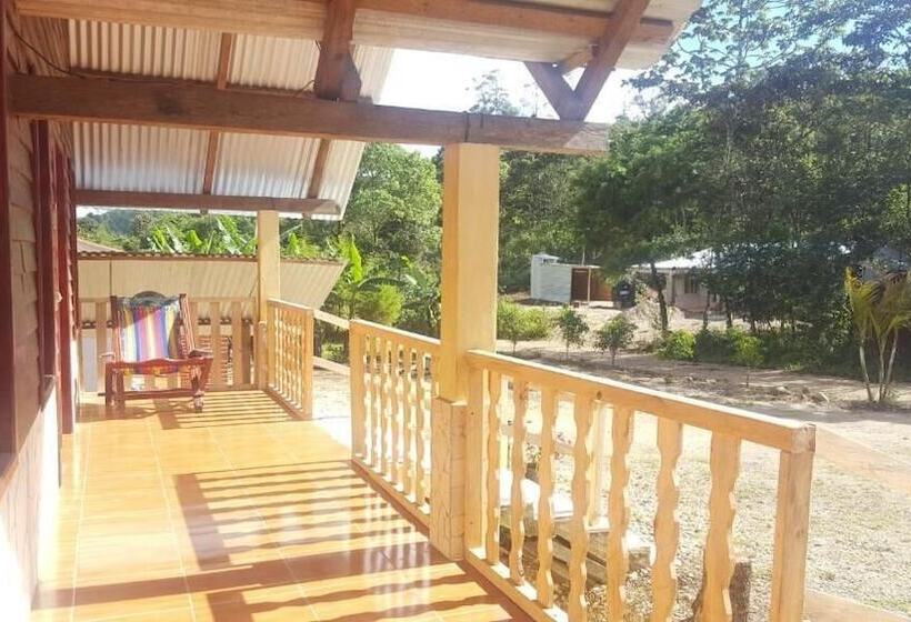 ホテル Cabanas Islas De Tziscao