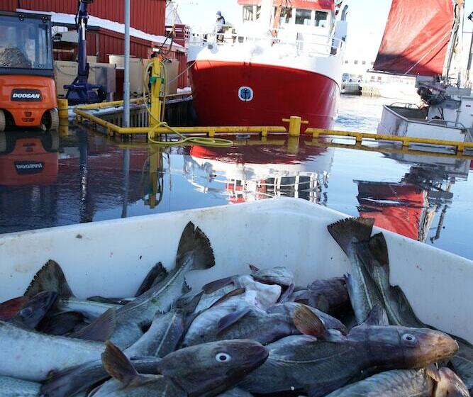 Отель Lydersen Rorbuer Hostel And Apartments Kvalvika And Rytten