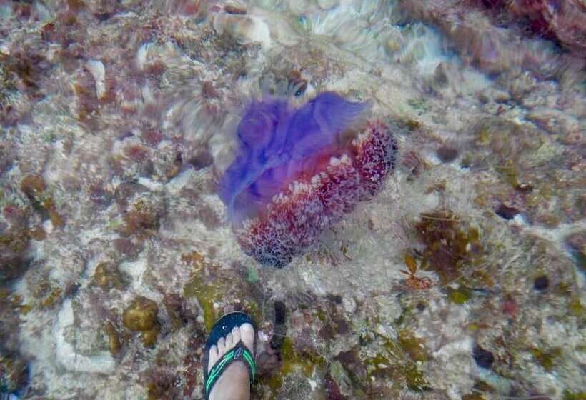 酒店 Mick & Kaye S B&b