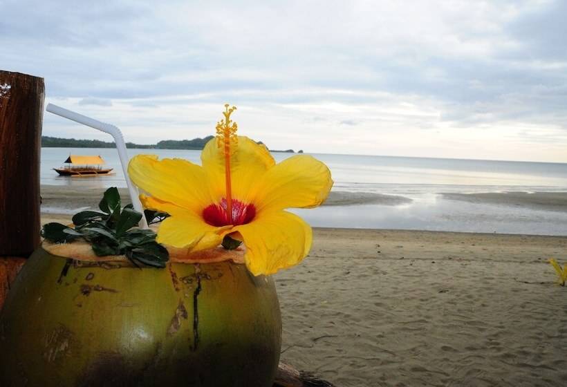 호텔 Nabulao Beach And Dive Resort