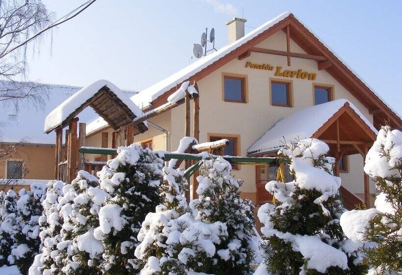 فندق Penzion Larion