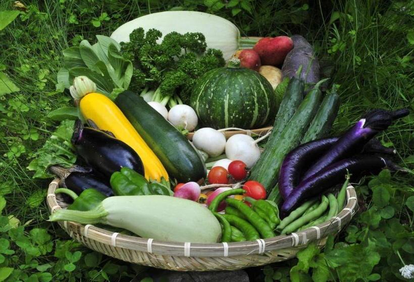 בית מלון כפרי Sawa Rouge