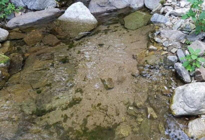 בית מלון כפרי Yangpyeong Dodam House Pension