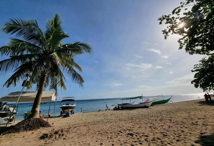 Yemaya De Laiya Powered By Cocotel