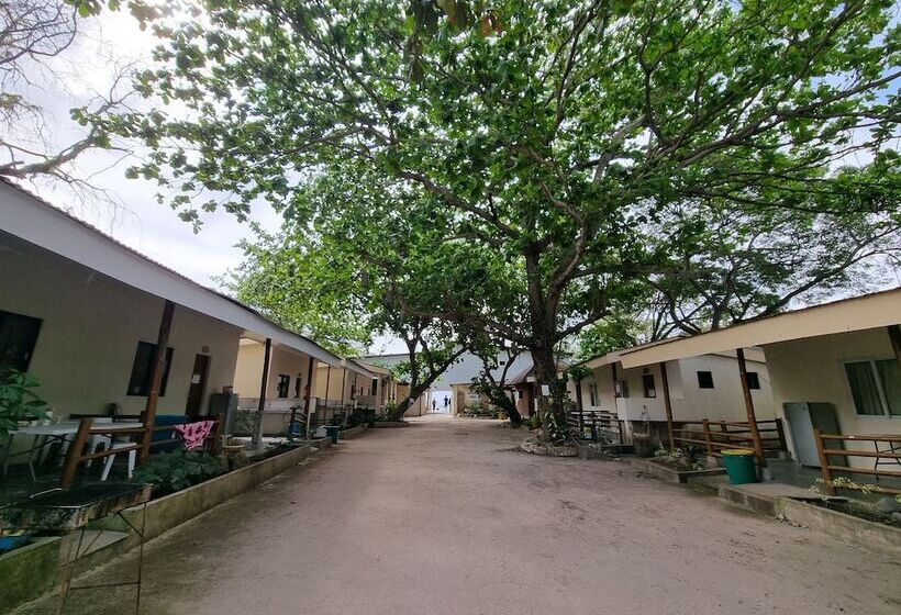 Yemaya De Laiya Powered By Cocotel