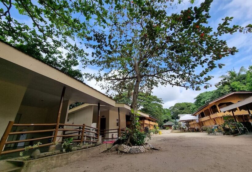 Yemaya De Laiya Powered By Cocotel