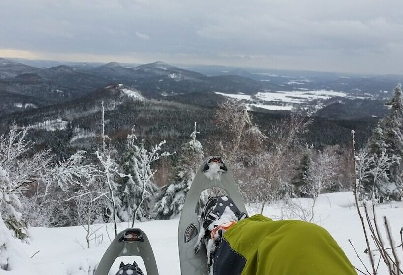 בית מלון כפרי Bohemian Cottage
