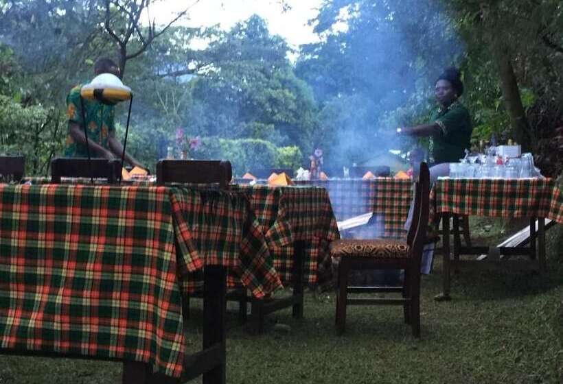 هتل Bwindi View Lodge & Camp Site