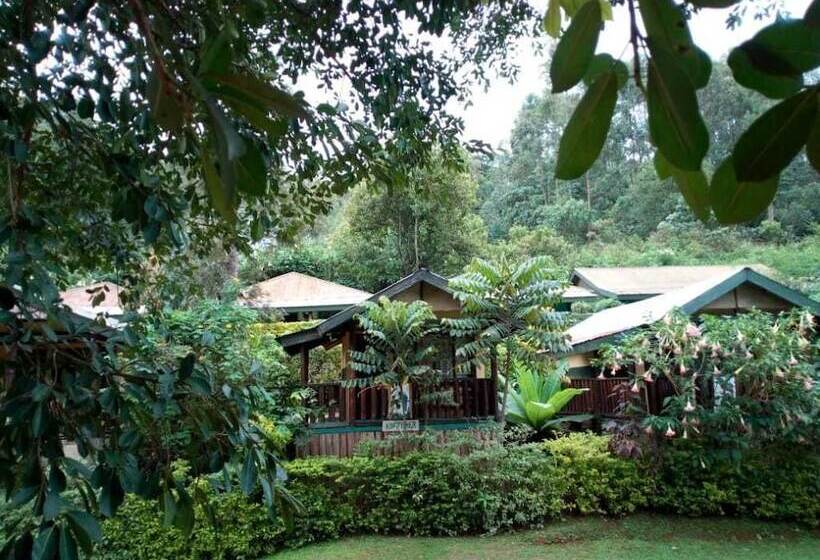 هتل Bwindi View Lodge & Camp Site