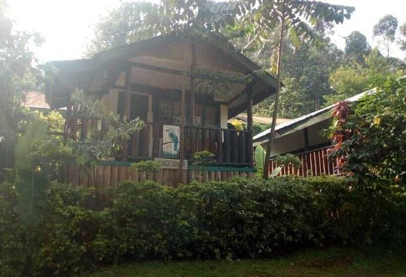 هتل Bwindi View Lodge & Camp Site