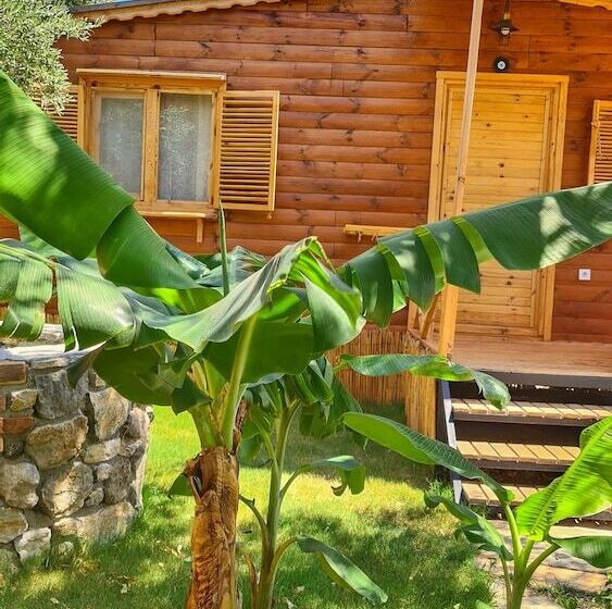 호텔 Derin Tas Bungalow