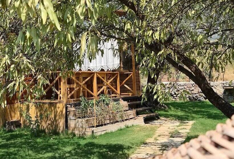 호텔 Derin Tas Bungalow