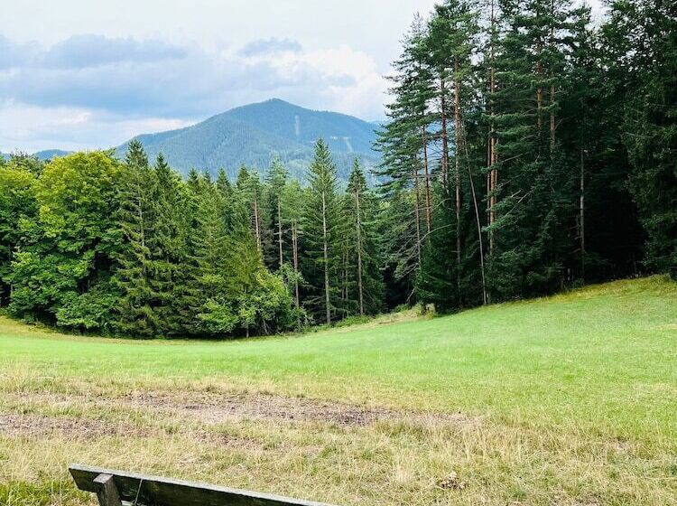 호텔 Dorfpension Mariahilfberg