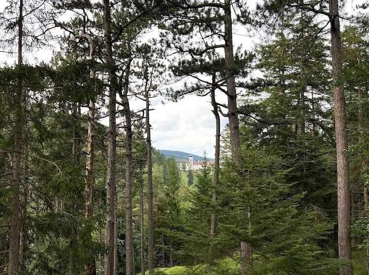 호텔 Dorfpension Mariahilfberg