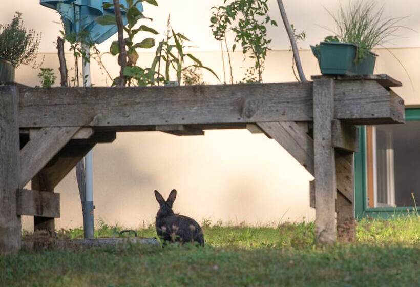 호텔 Dorfpension Mariahilfberg