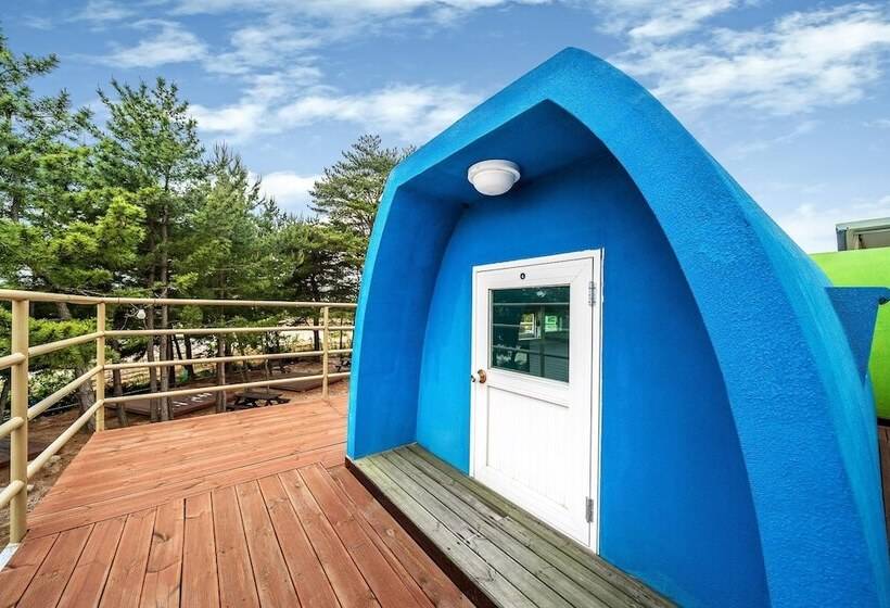 ホテル Goseong Jjun Camping Pension