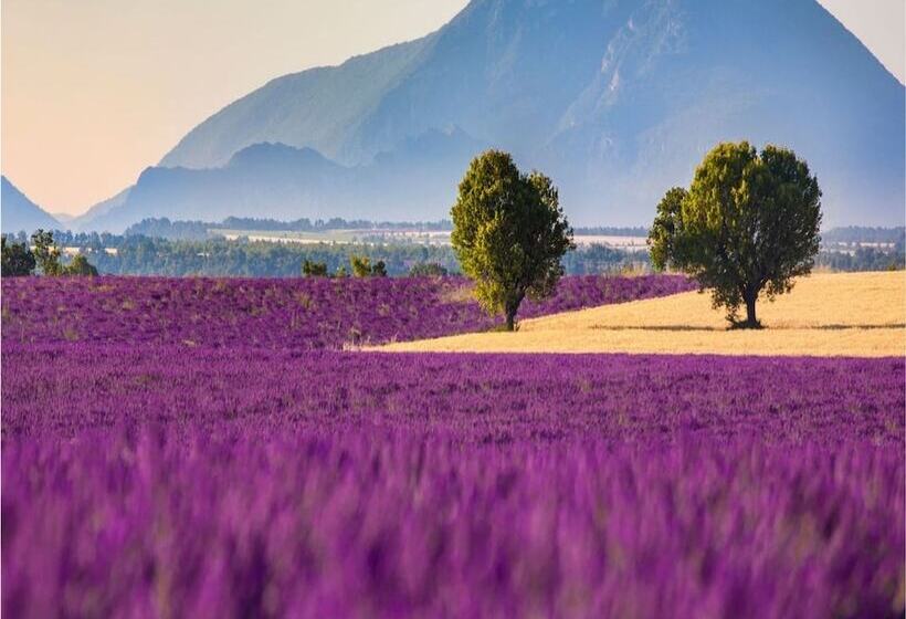 فندق Lavanta Villa