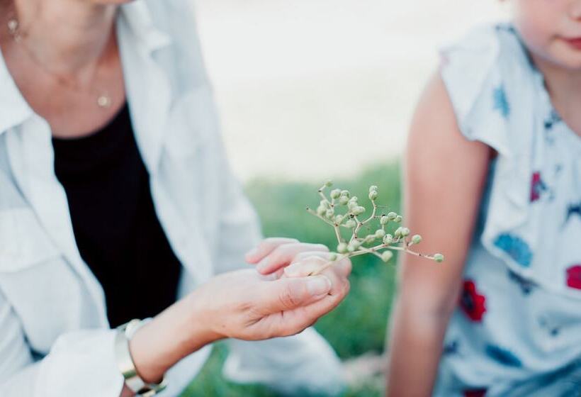 호텔 Pensionat Næsgaarden