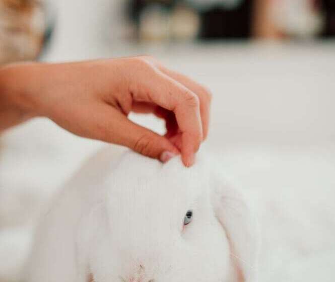 호텔 Pensionat Næsgaarden