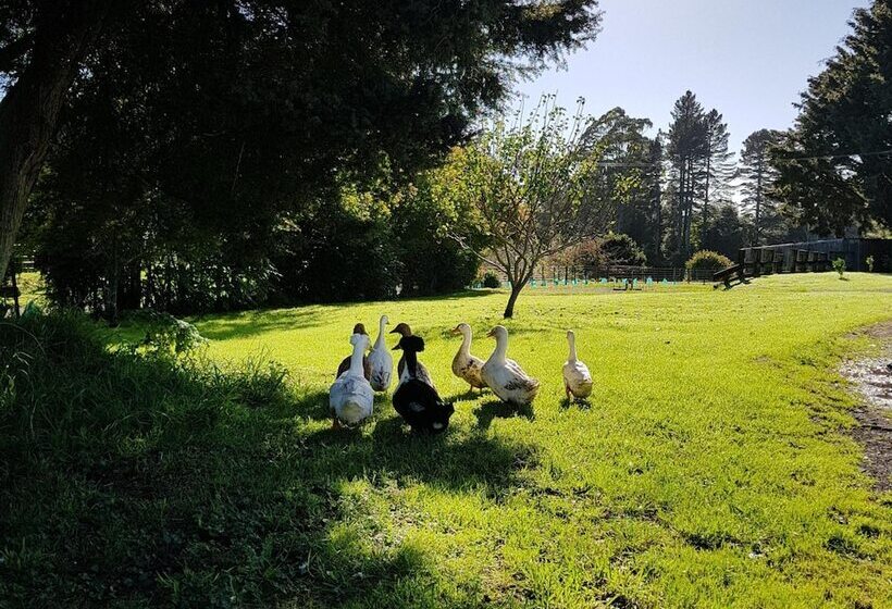 فندق Poripori Homestead