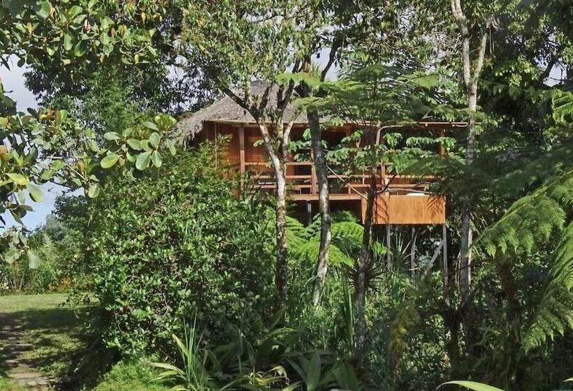 هتل Terrabambu Lodge