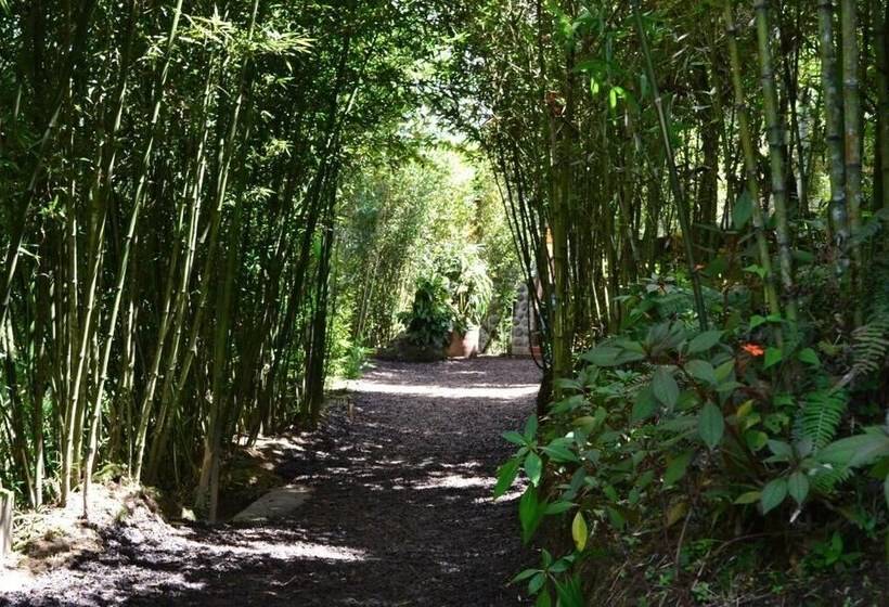 هتل Terrabambu Lodge